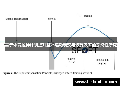 基于体育拉伸计划提升整体运动表现与恢复效率的系统性研究